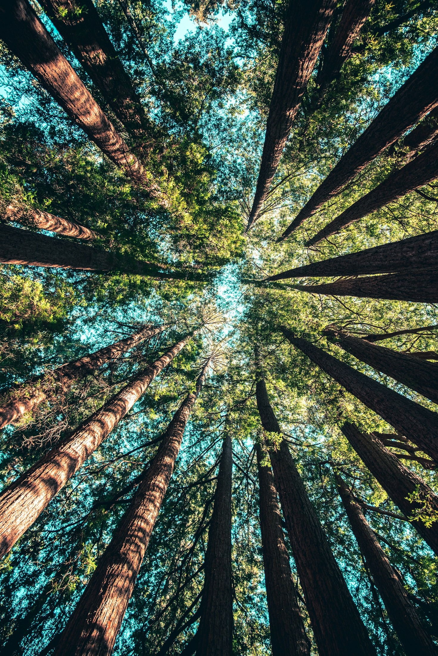 Por que explorar trilhas transforma sua vida